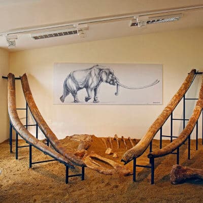 Alt text not provided