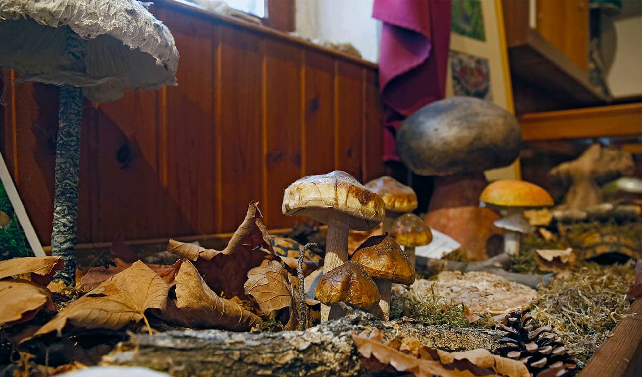 Alt text not provided