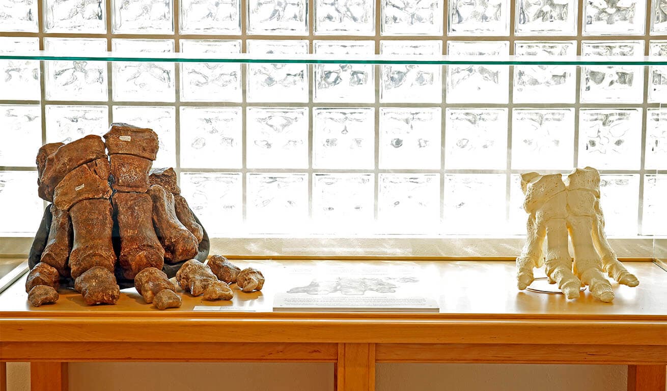 Alt text not provided