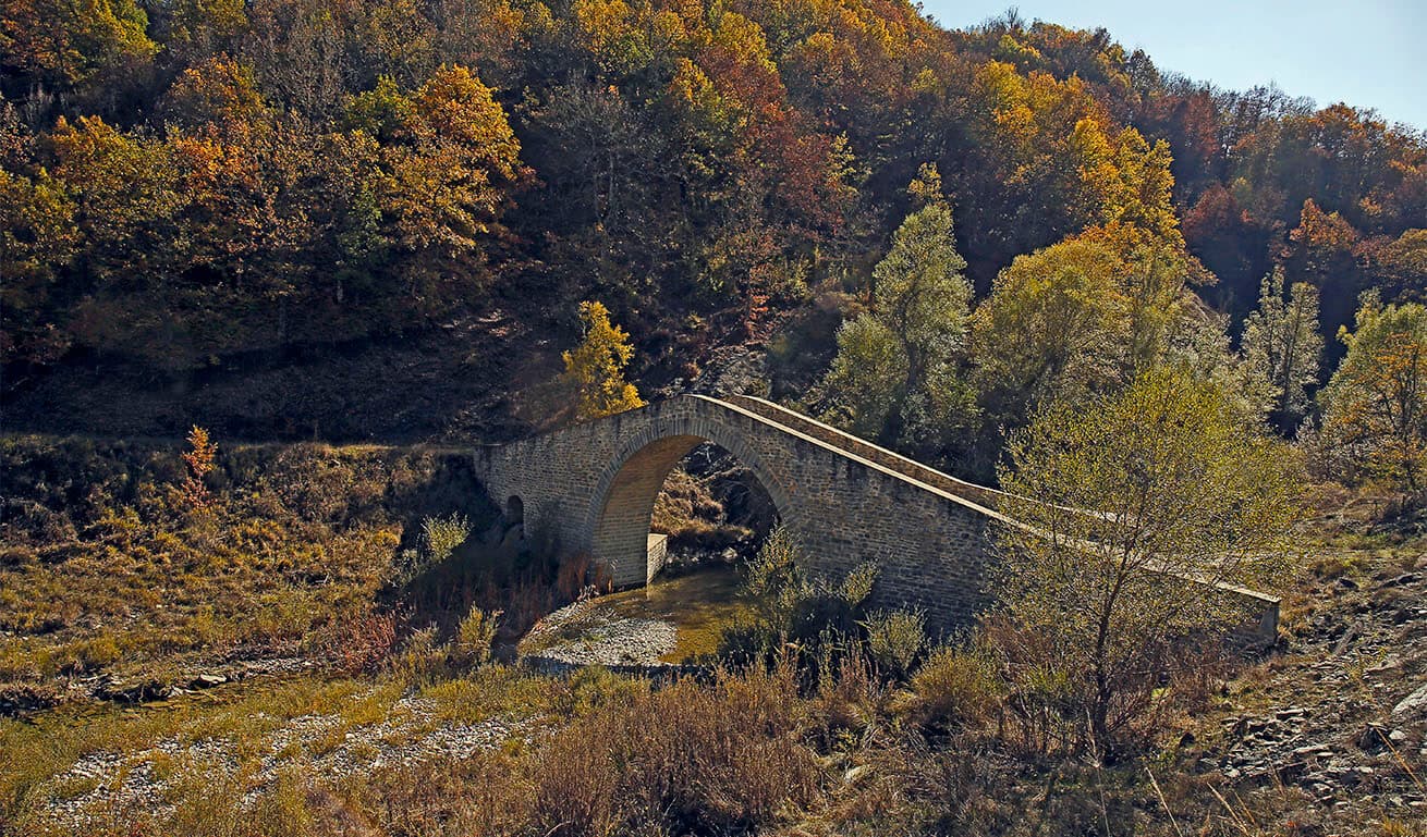 Alt text not provided