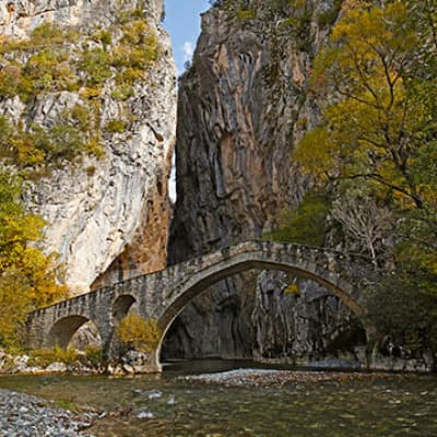 Alt text not provided