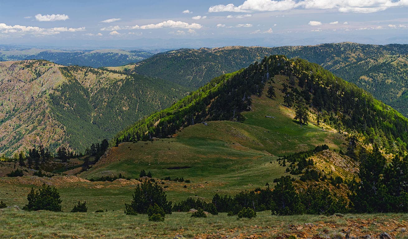 Alt text not provided