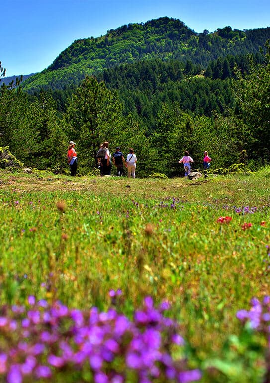 Alt text not provided