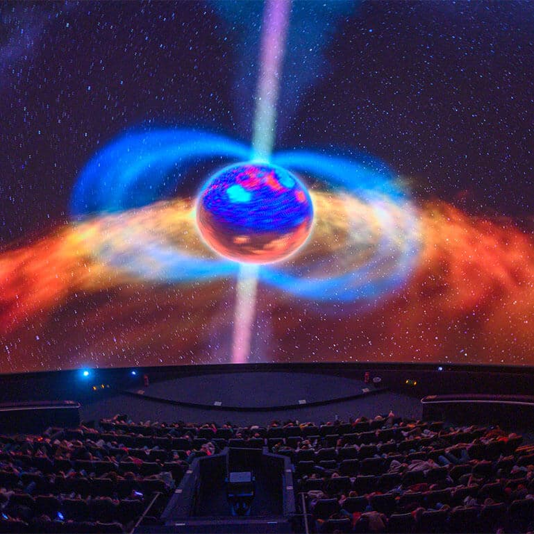 Alt text not provided