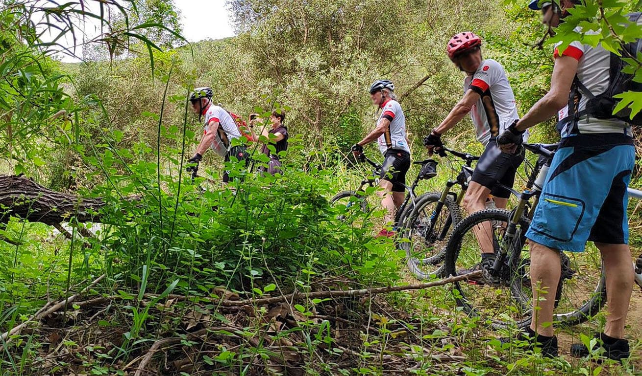 Alt text not provided