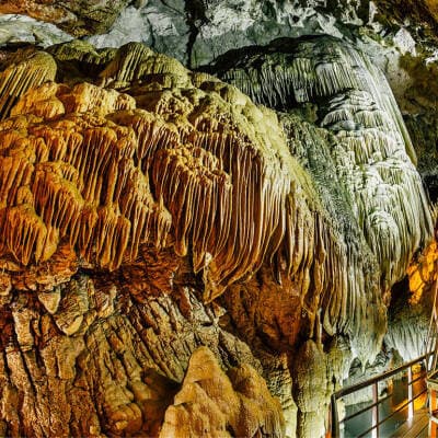 Alt text not provided