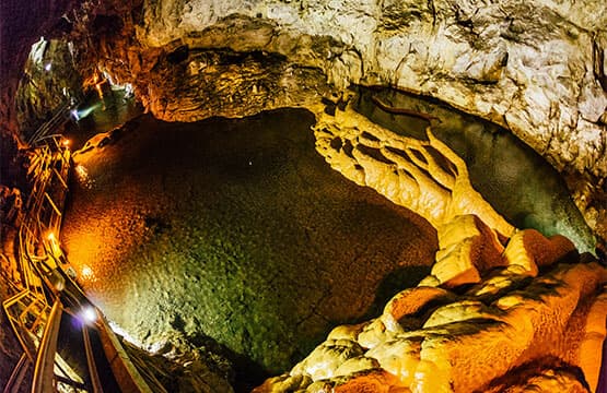 Alt text not provided