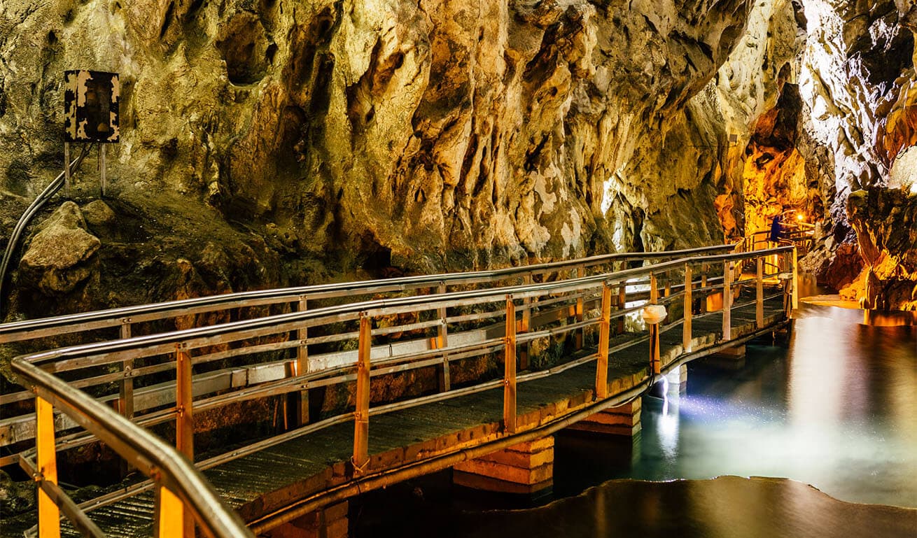 Alt text not provided