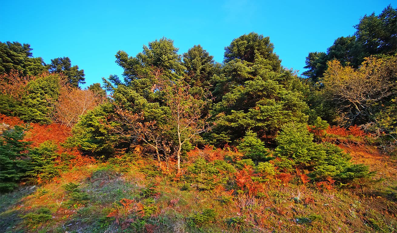 Alt text not provided