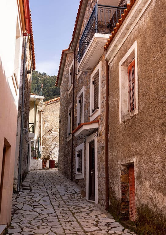 Alt text not provided