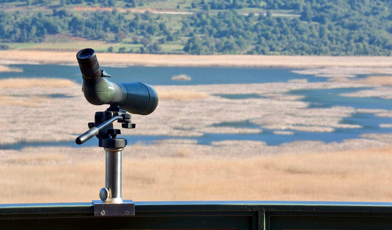 Alt text not provided