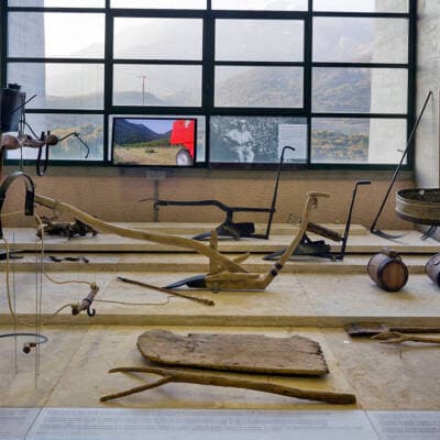 Alt text not provided