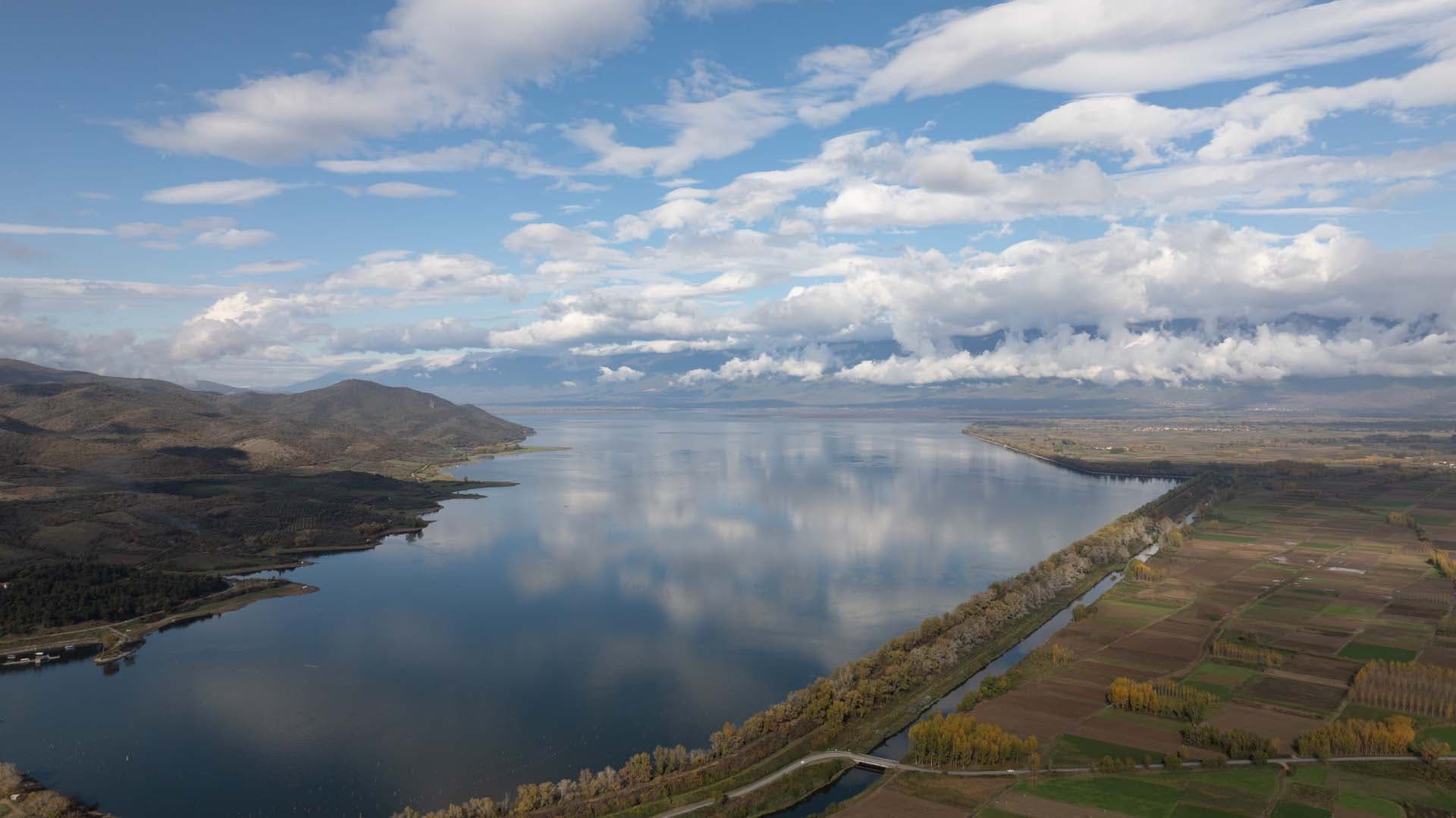 Alt text not provided