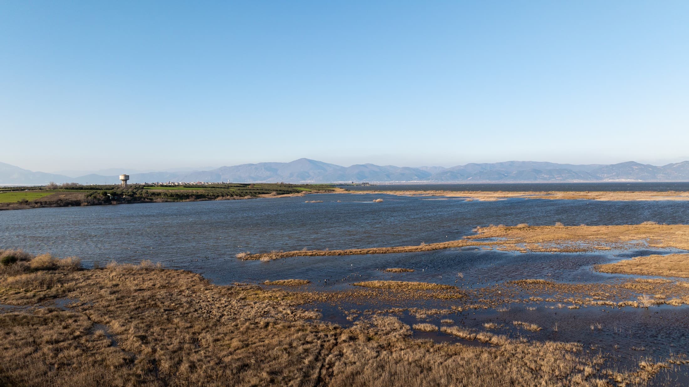 bird-watching-by-the-lake-vistonida
