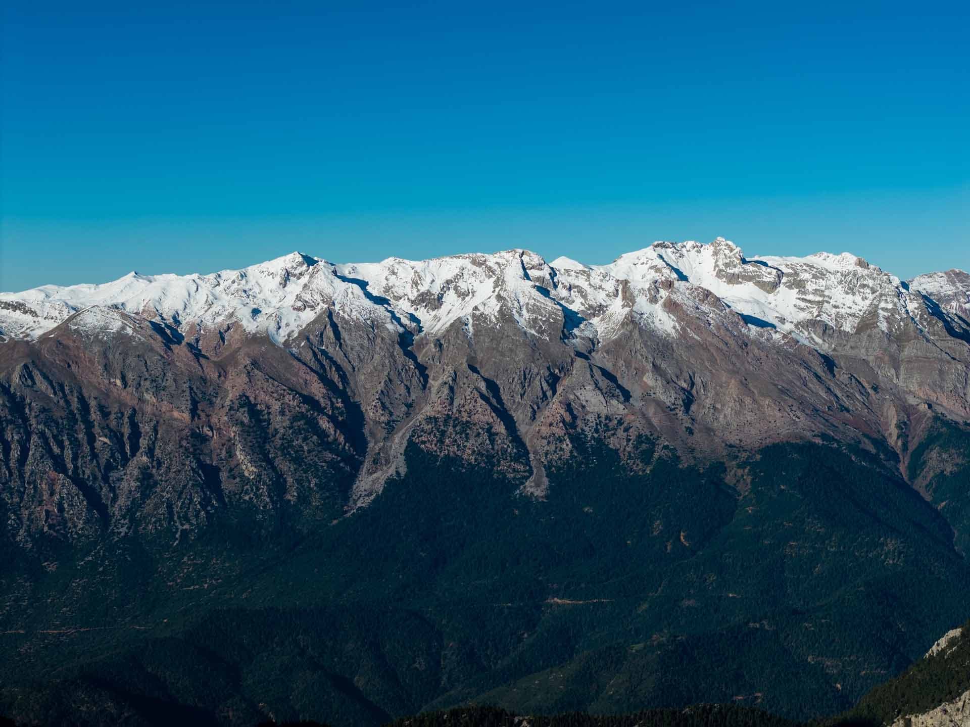 Alt text not provided