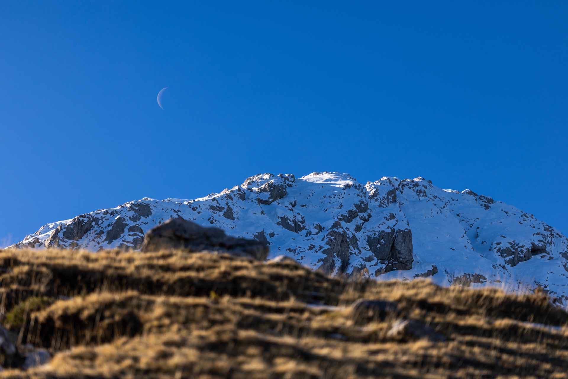 Alt text not provided