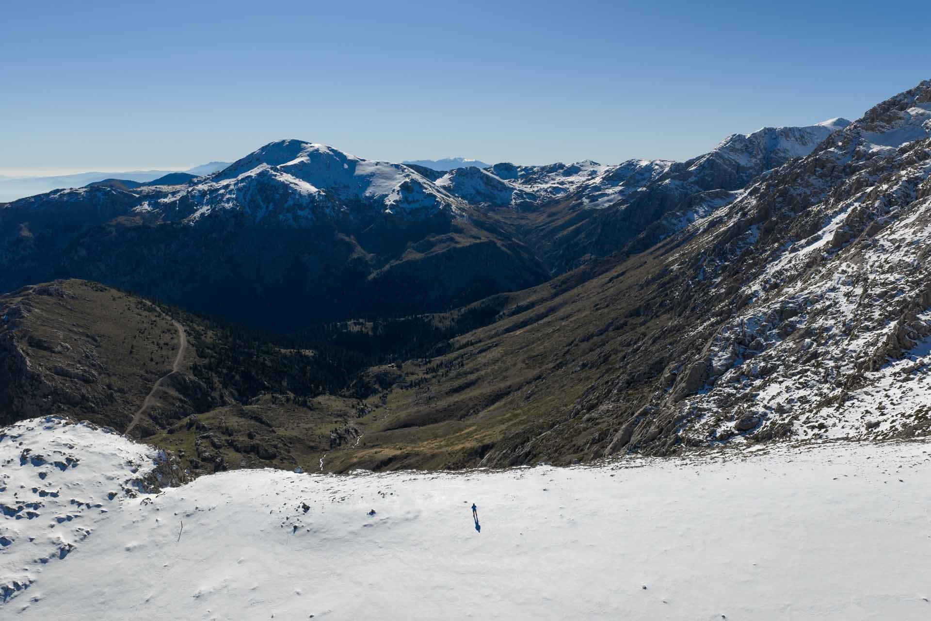 Alt text not provided