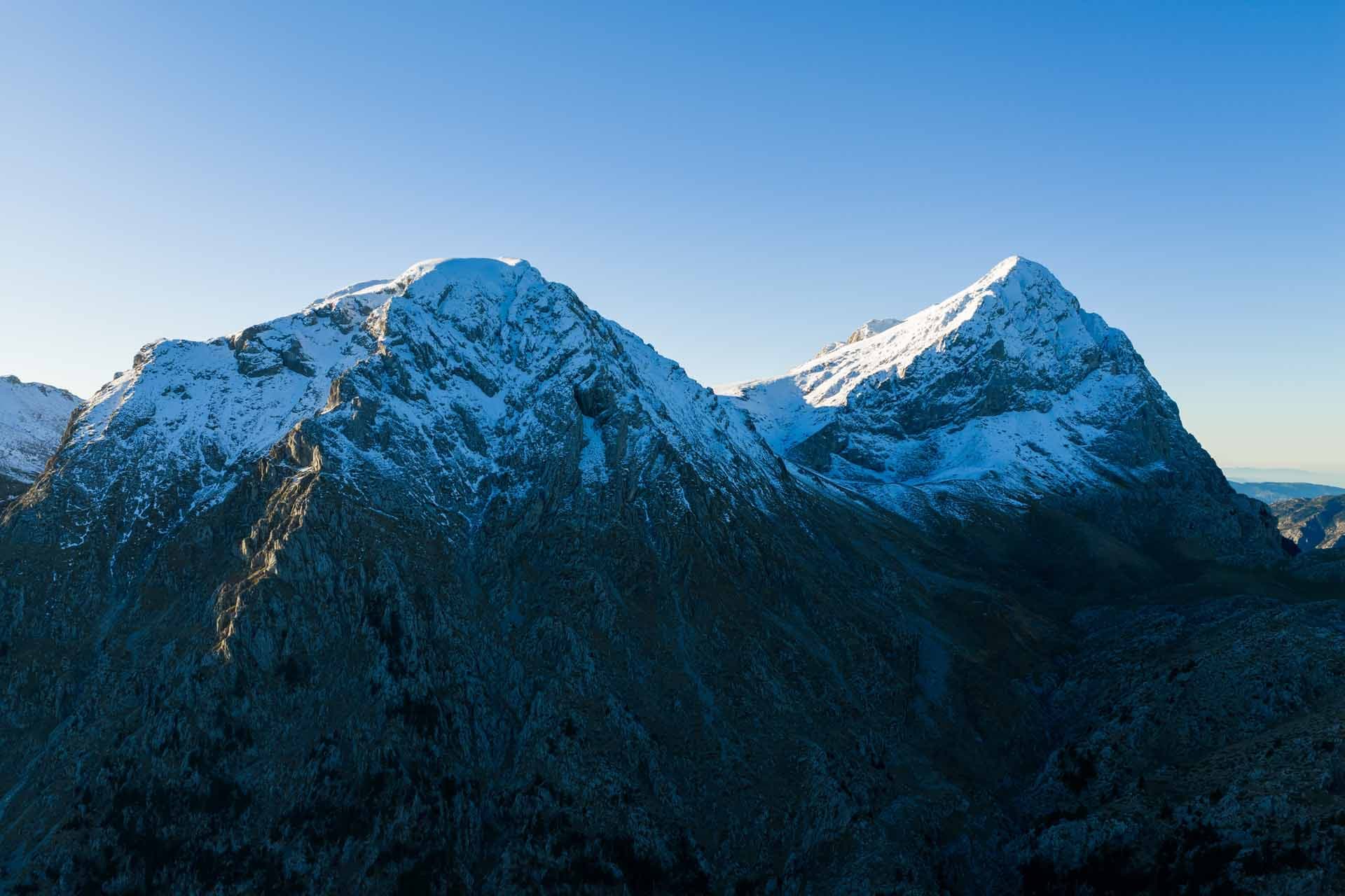 Alt text not provided