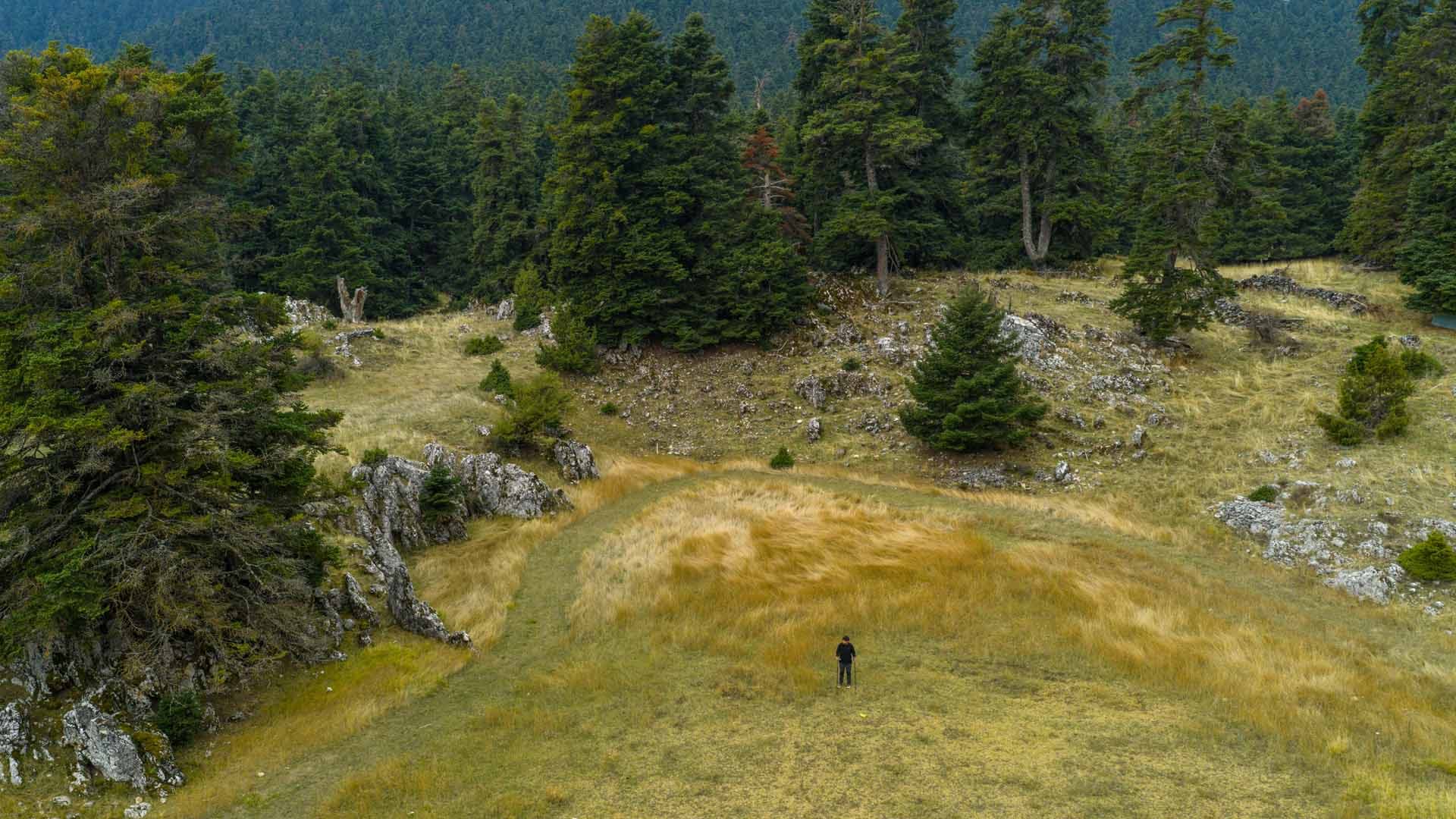 Alt text not provided