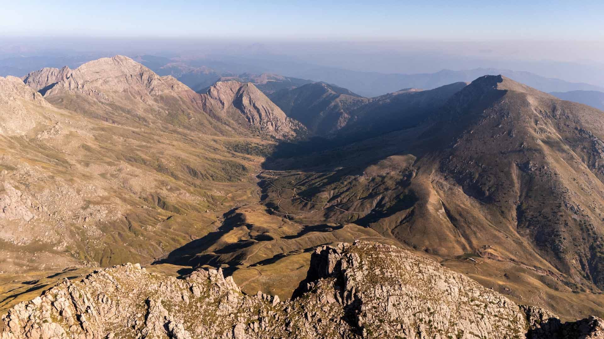 Alt text not provided