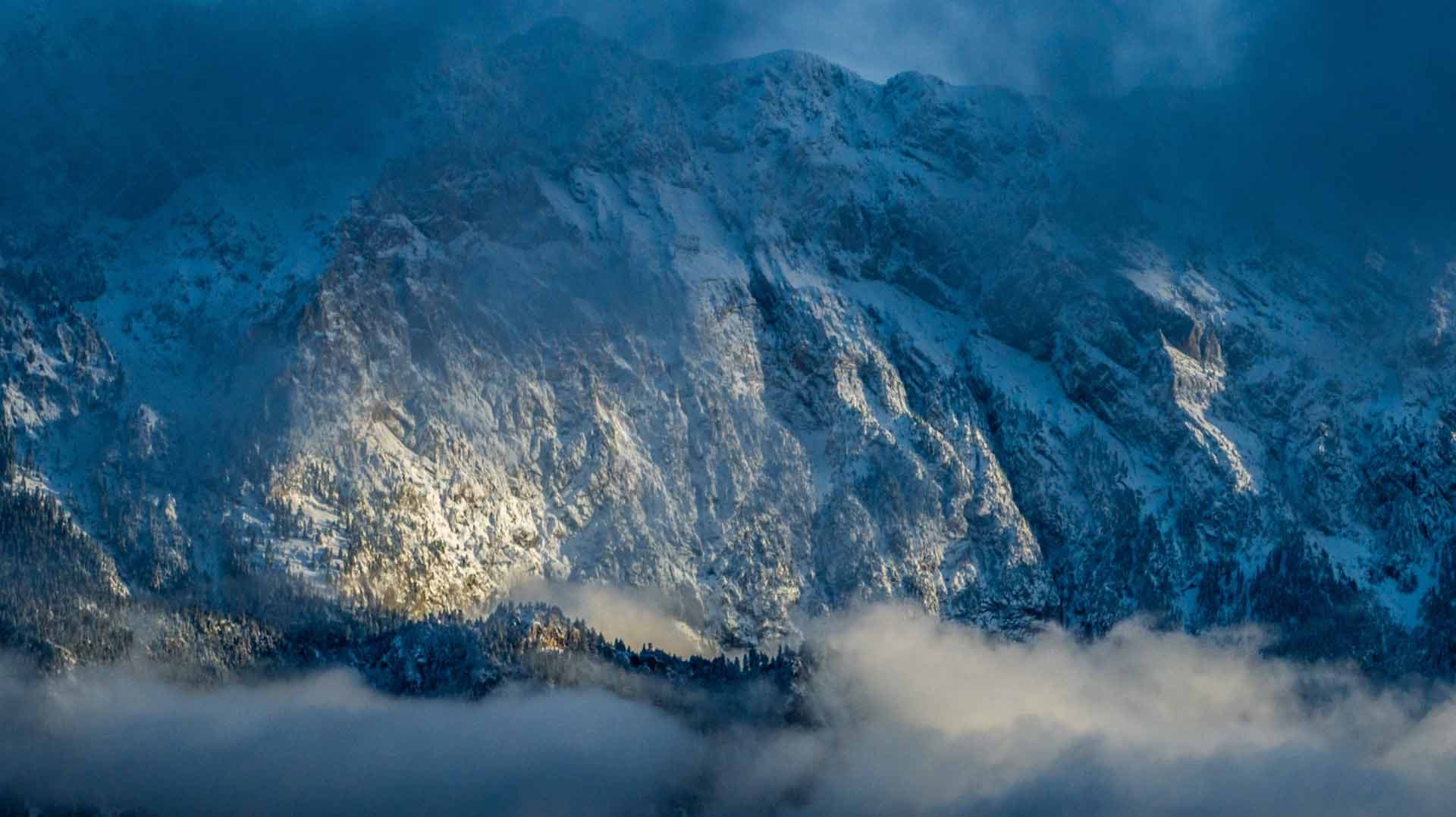 Alt text not provided