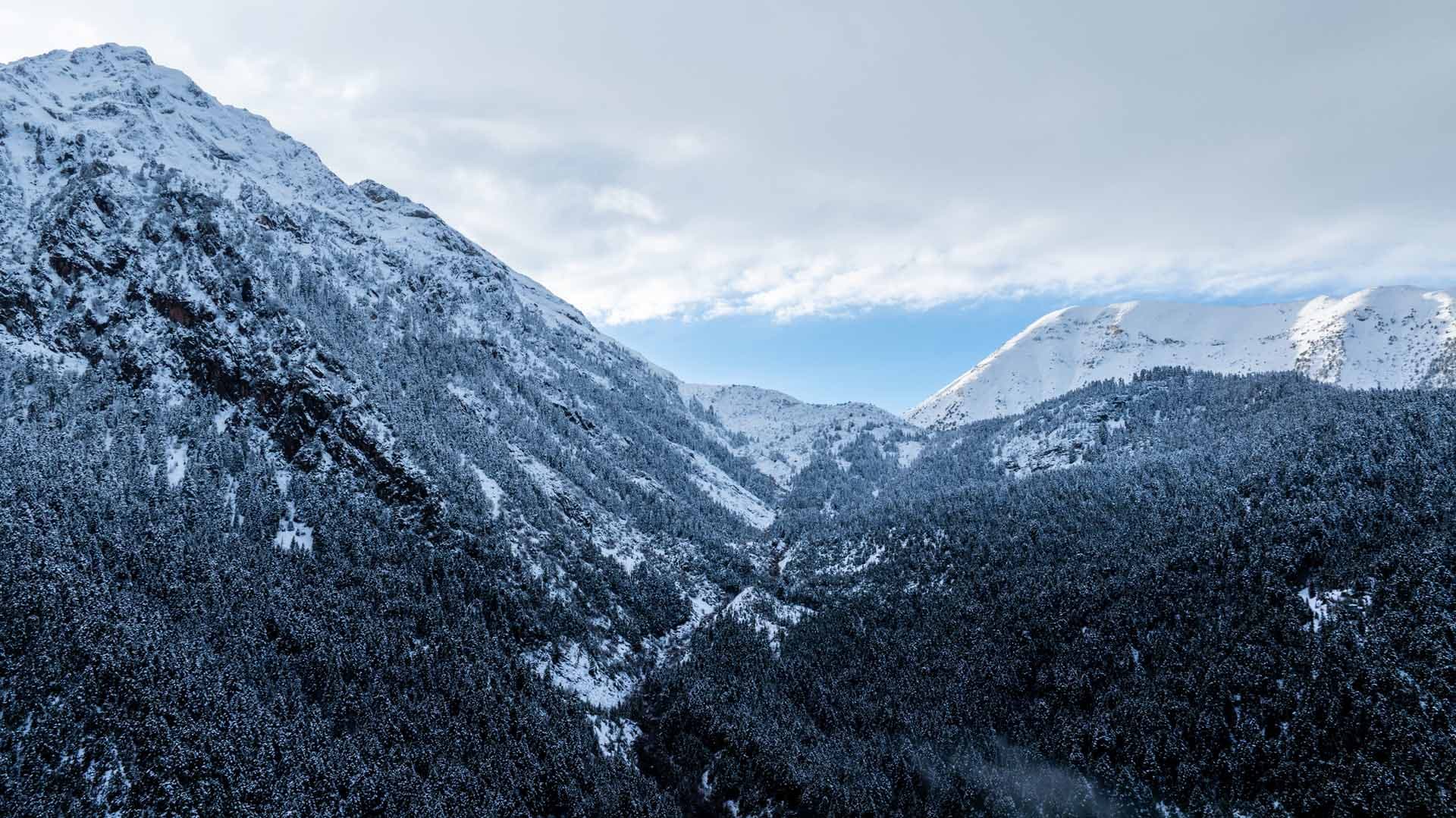 Alt text not provided