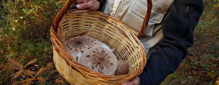 Lokale Traditionen von Grevena