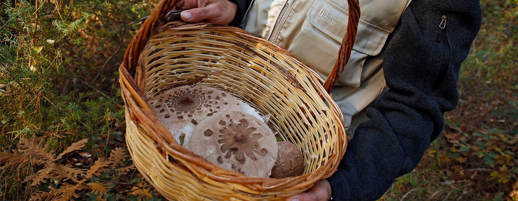 Local Customs and Traditions of Grevena