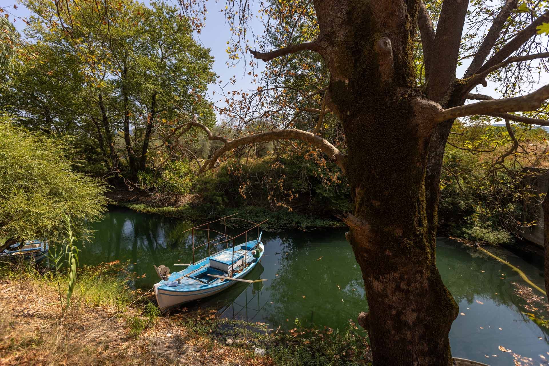 Alt text not provided