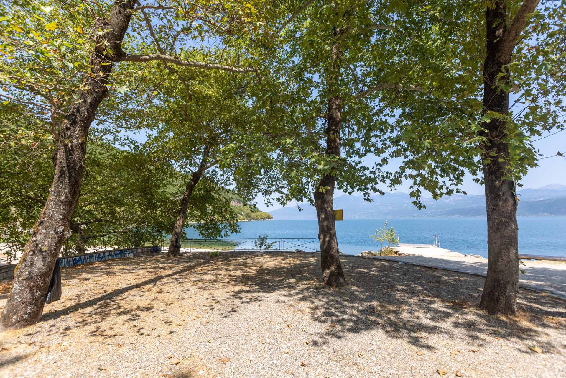 Alt text not provided