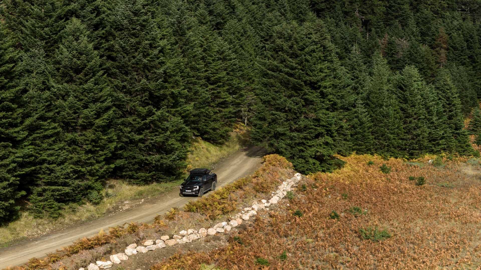 Alt text not provided