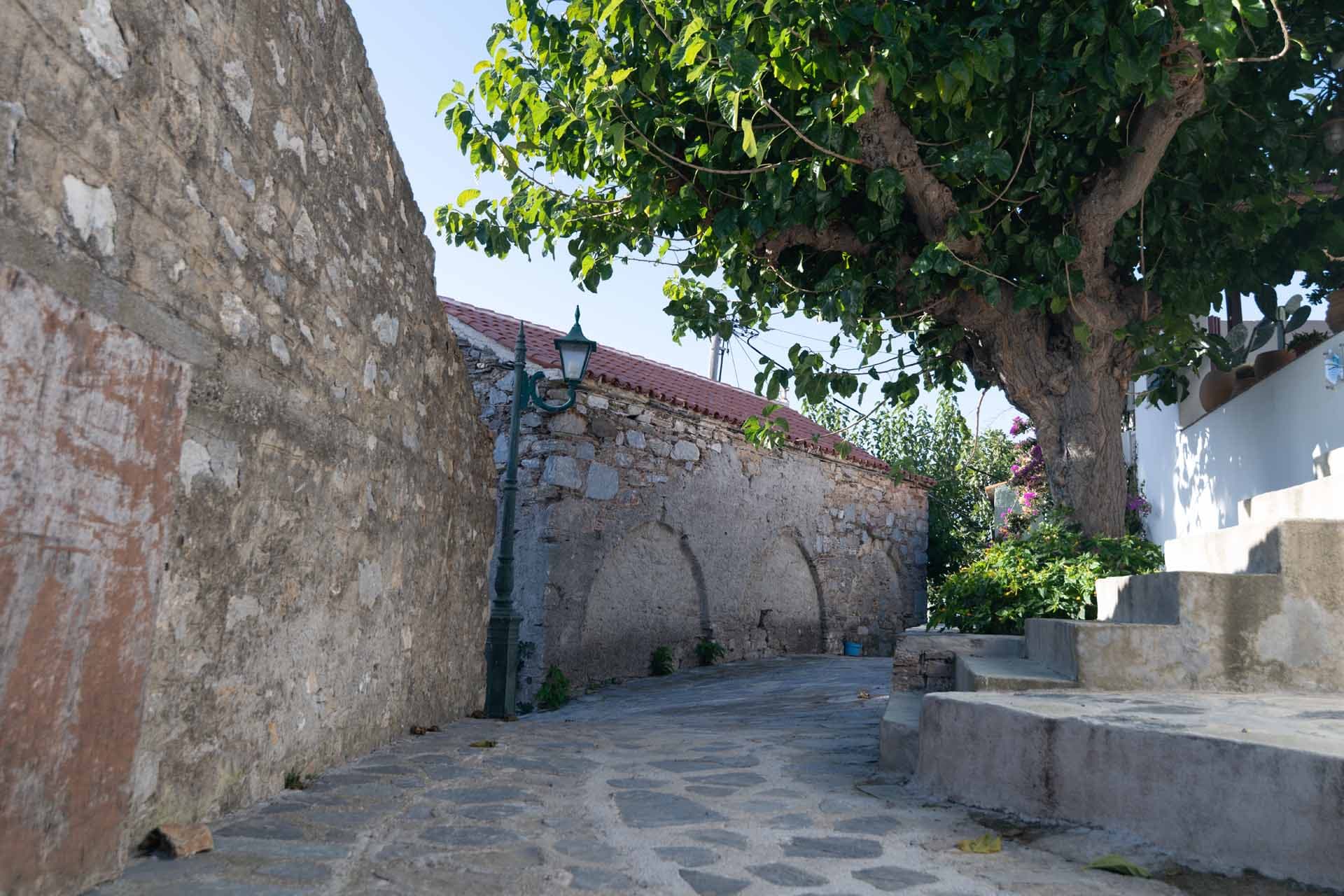 Alt text not provided