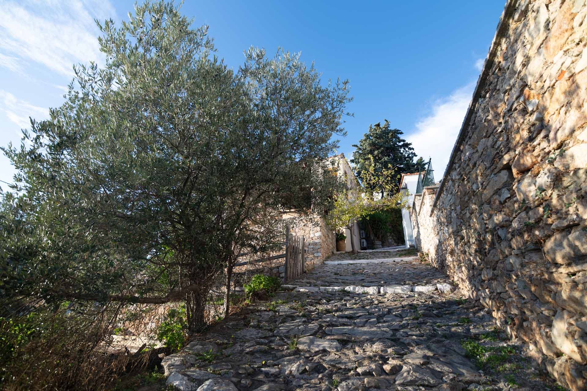 Alt text not provided