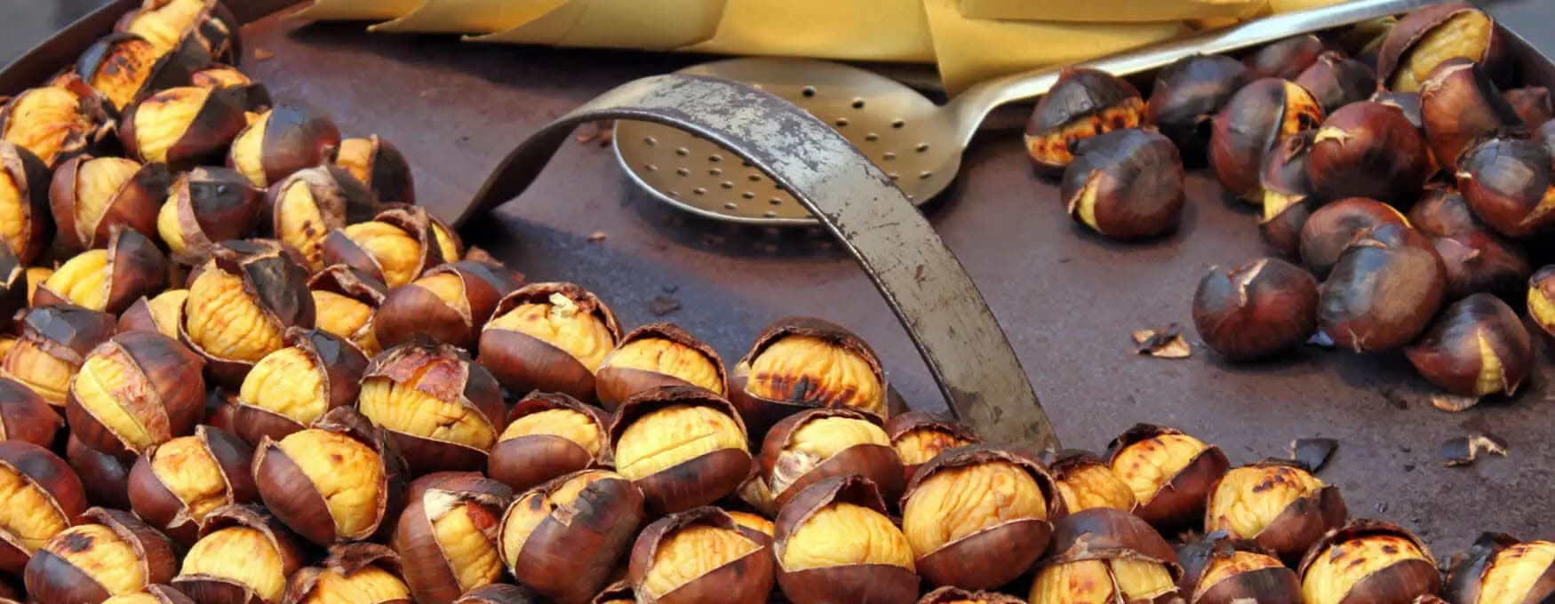 chestnut