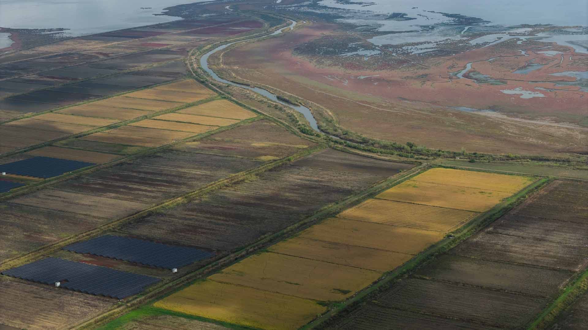 Alt text not provided