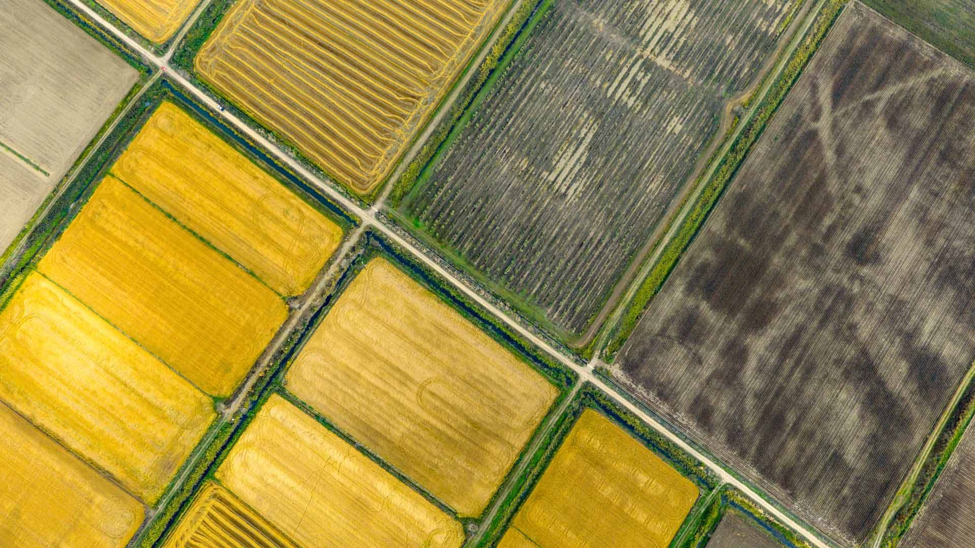 Alt text not provided