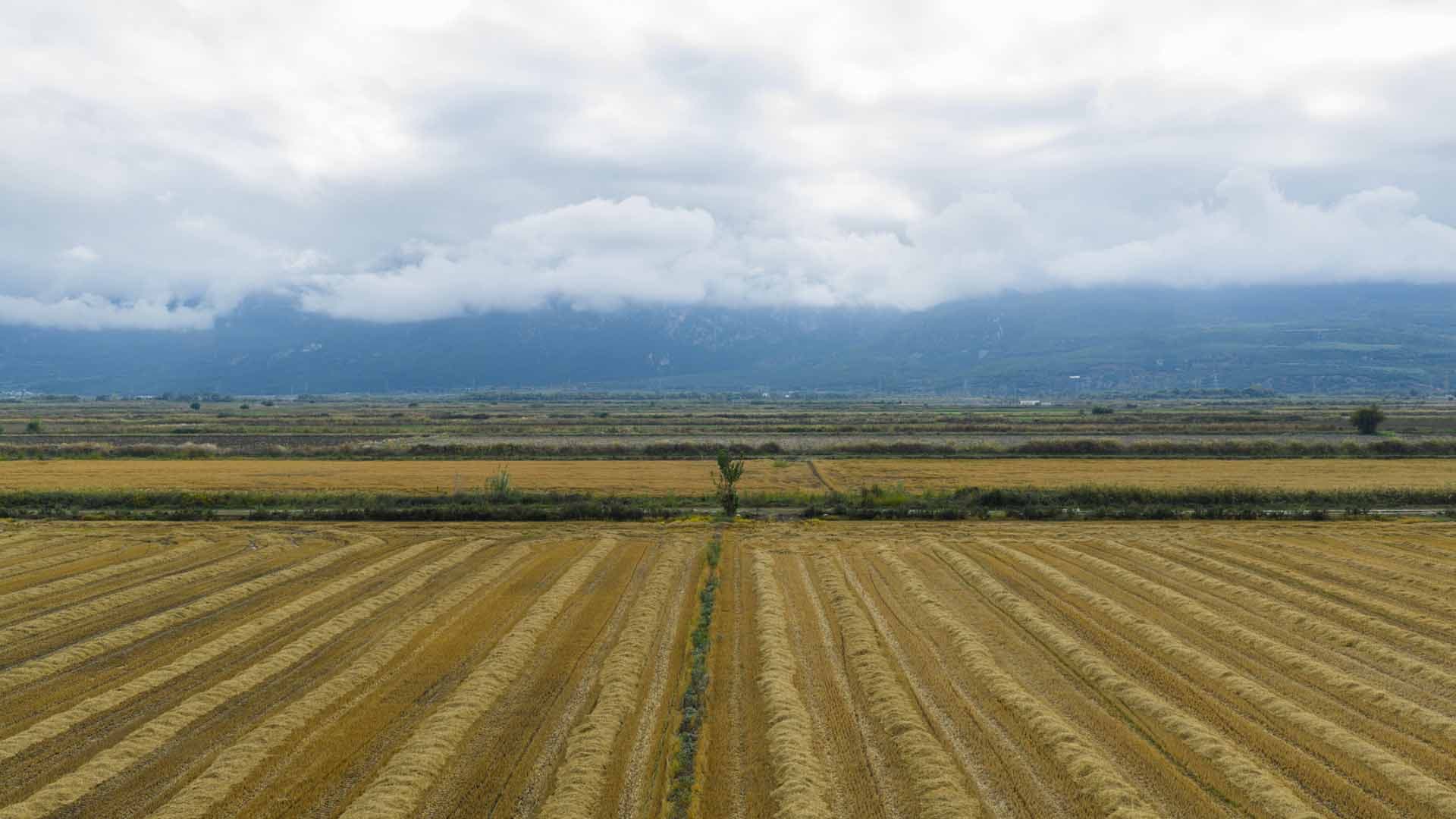 Alt text not provided