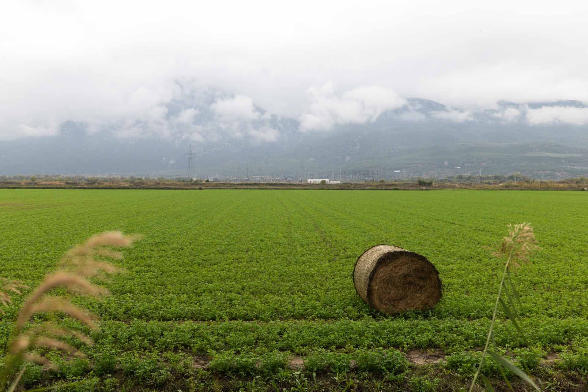 Alt text not provided