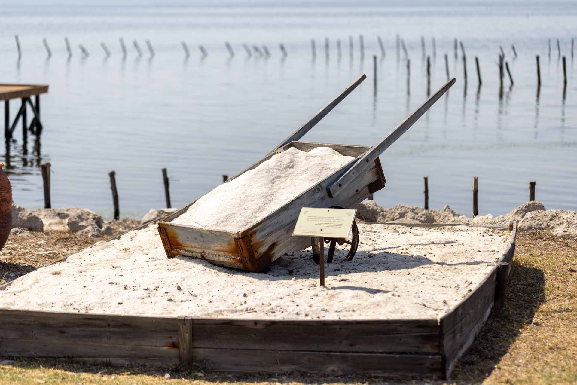 Alt text not provided