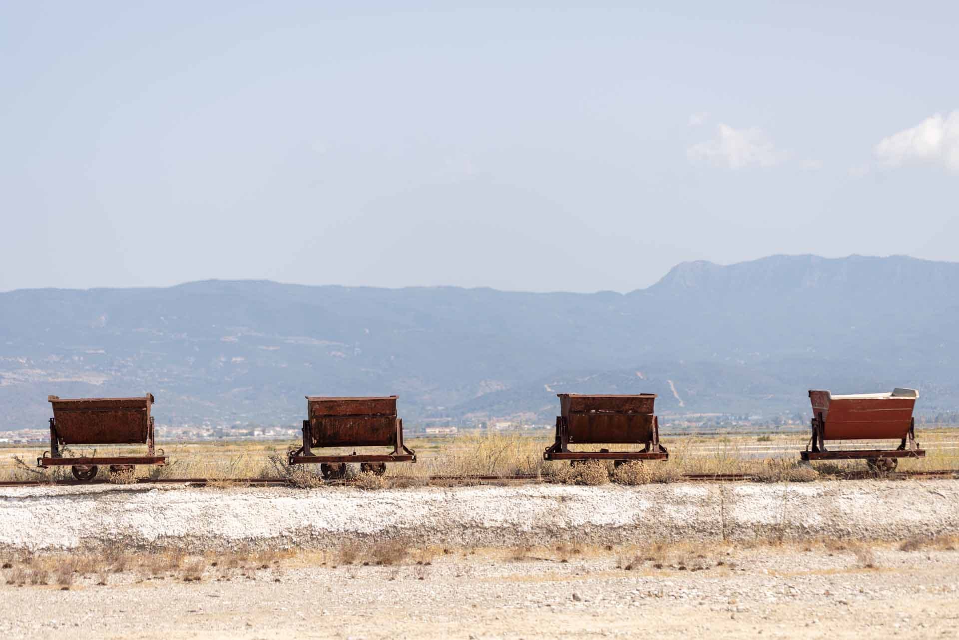 Alt text not provided