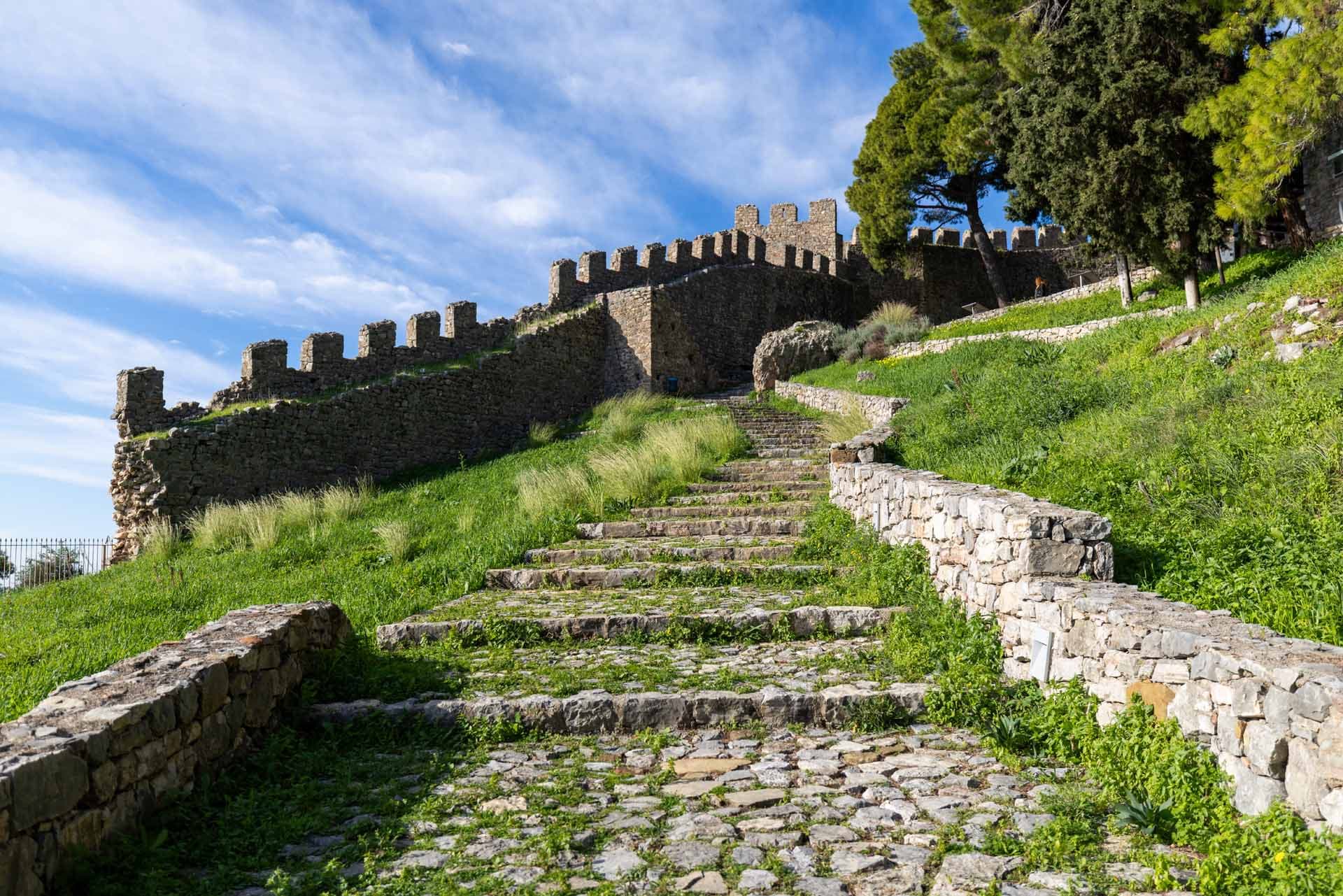 Alt text not provided