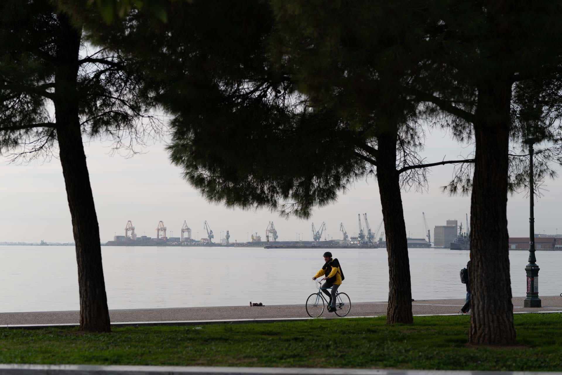 Alt text not provided