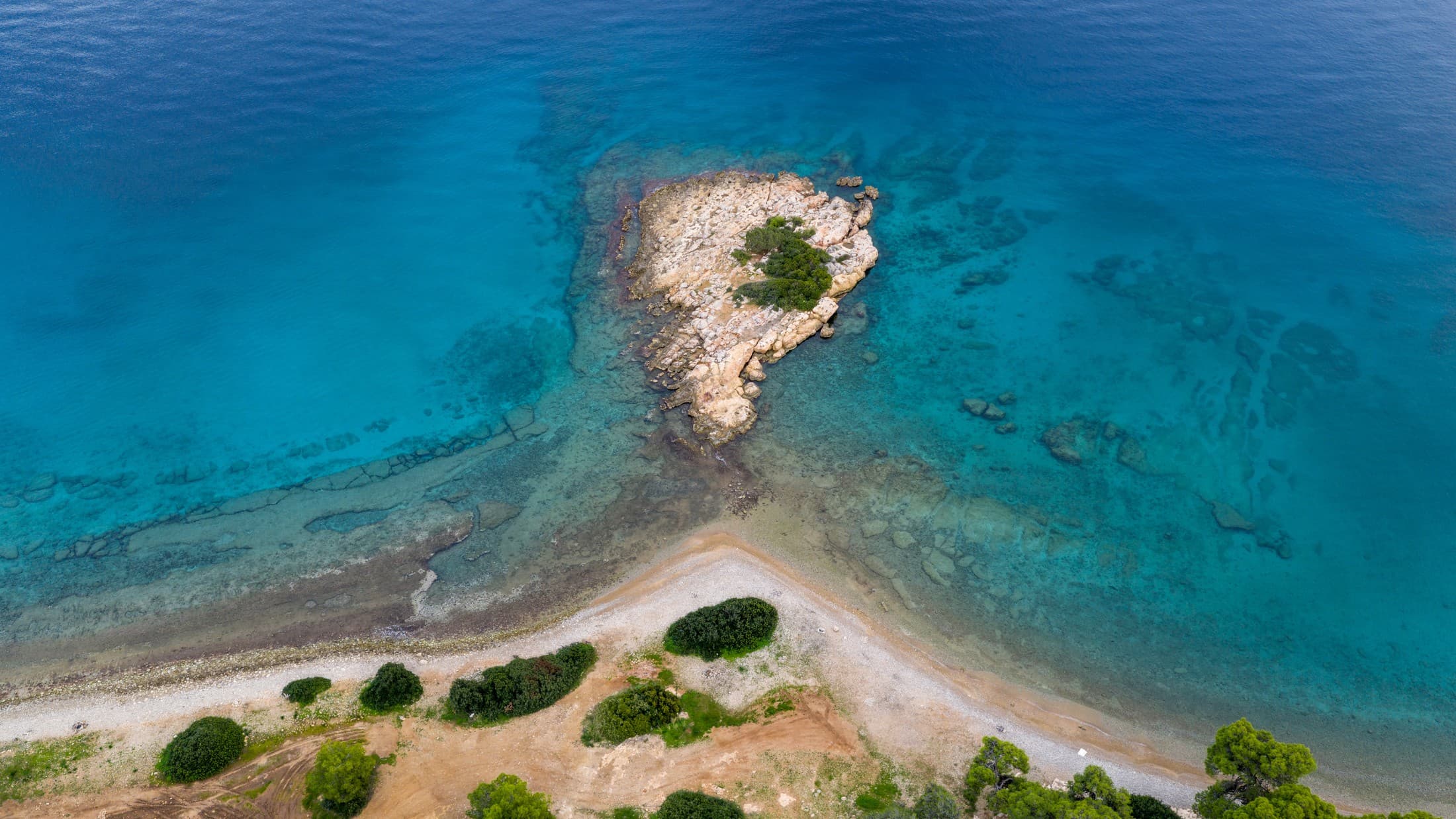 Alt text not provided