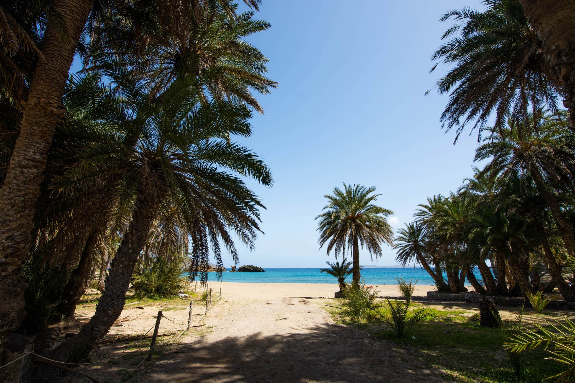 Vai Palm Forest and Ancient Itanos