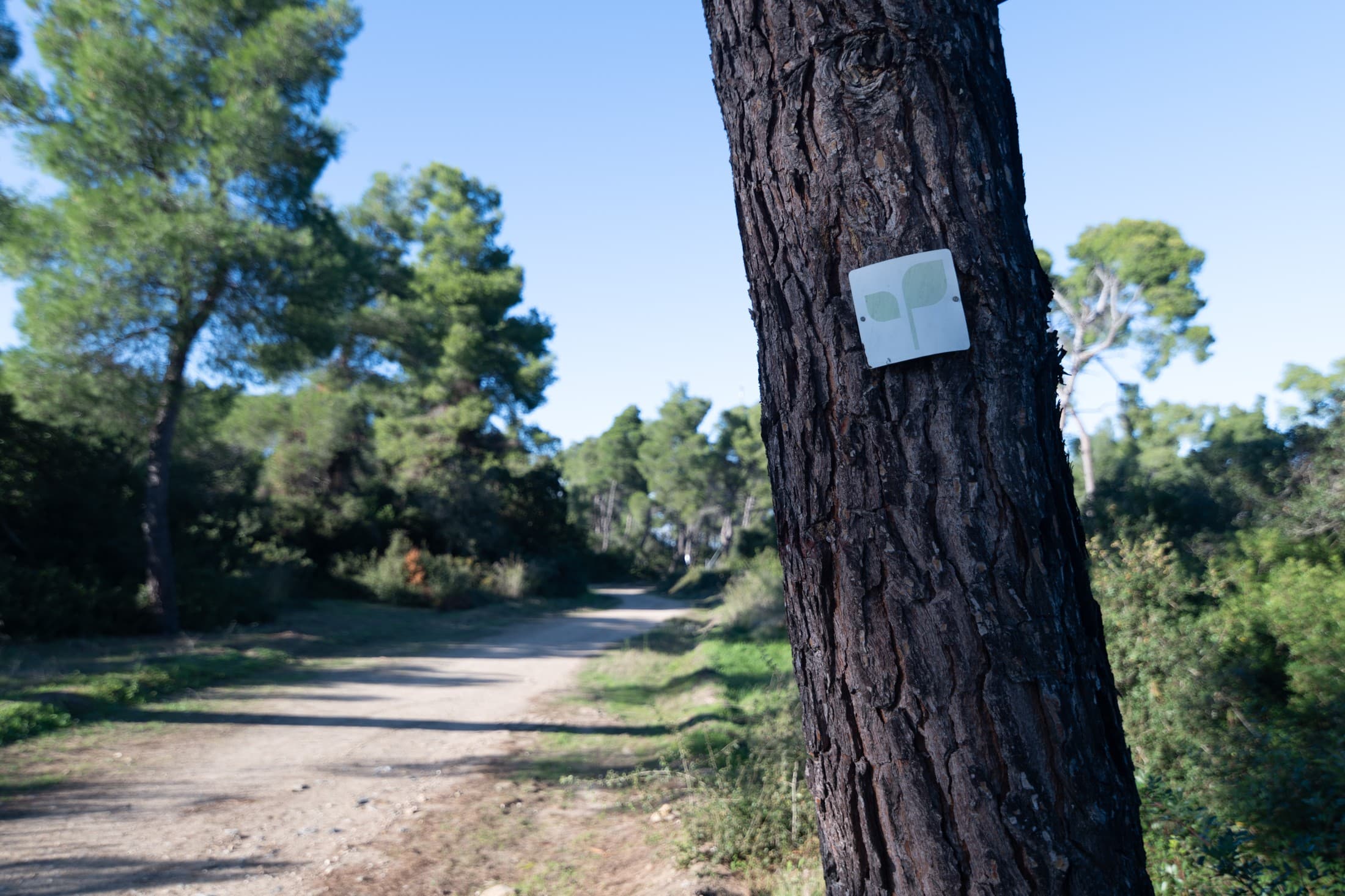 hiking-in-kassandra