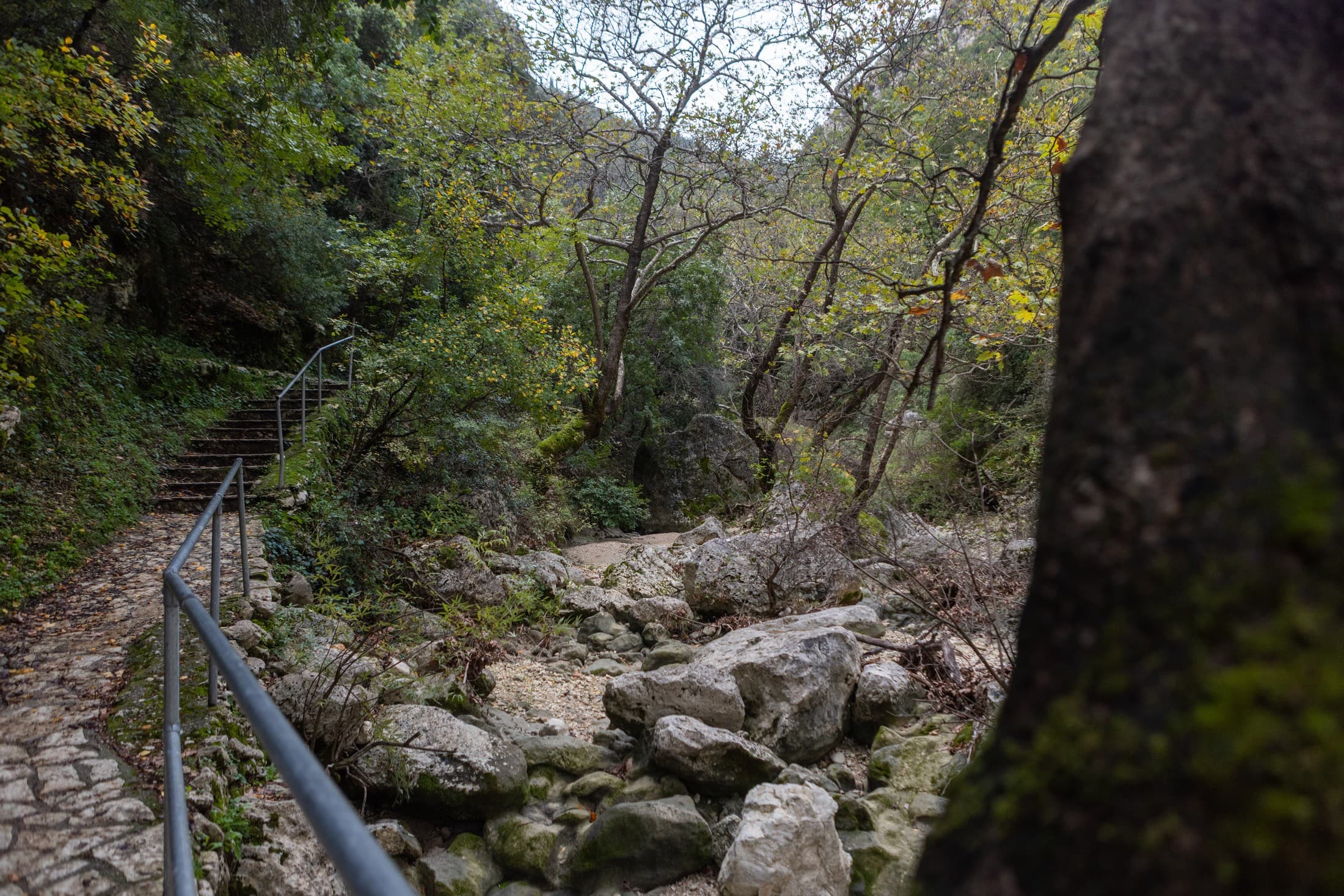 hiking-in-the-dimosari-gorge