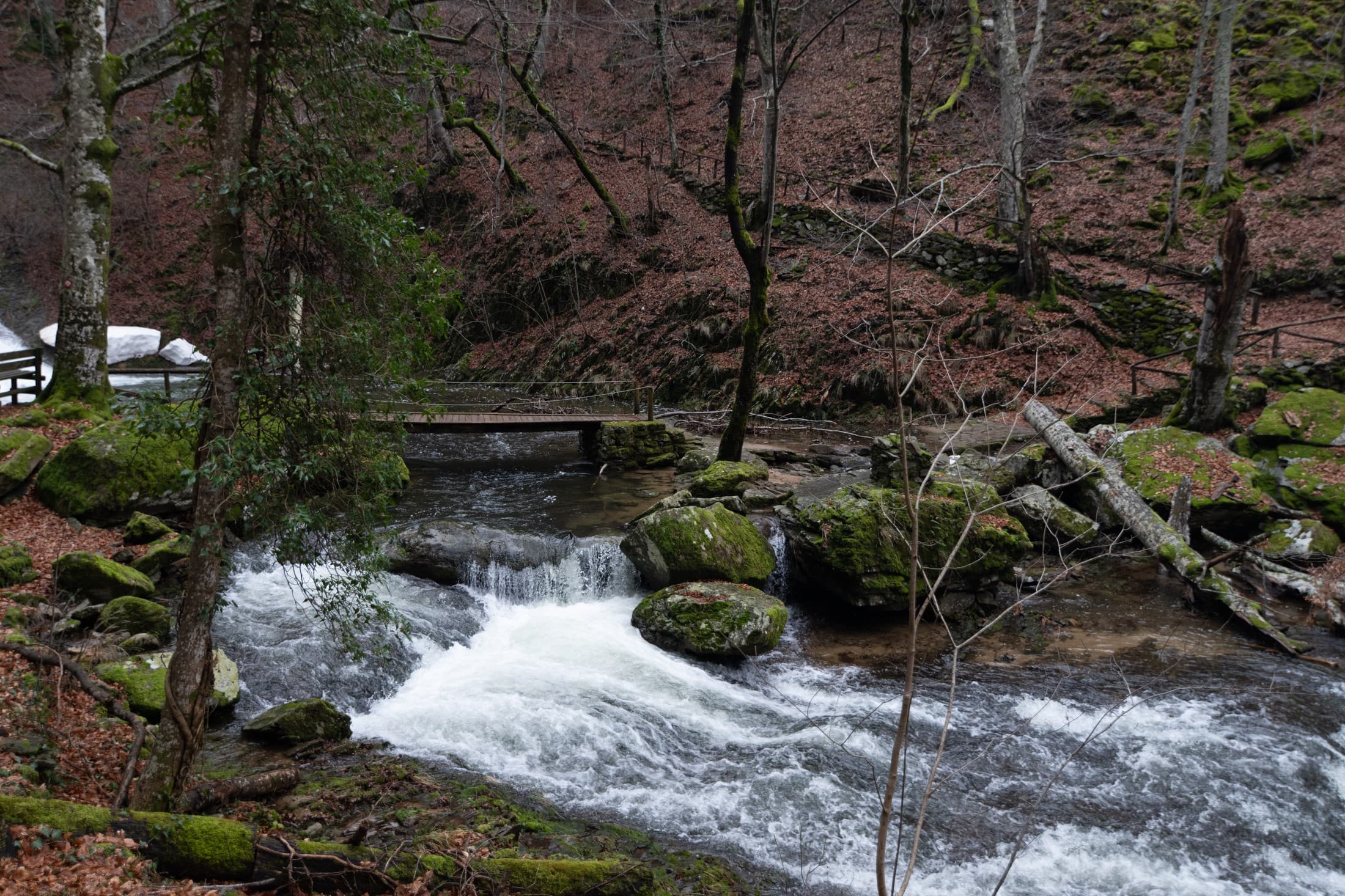 hiking-in-the-rhodope-mountains