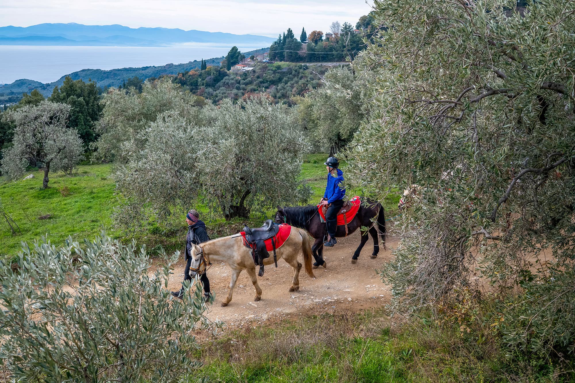 Horse riding on Mount Pelion