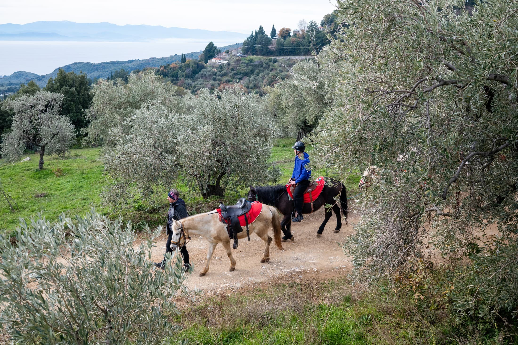 horseback-riding-on-mount-pelion