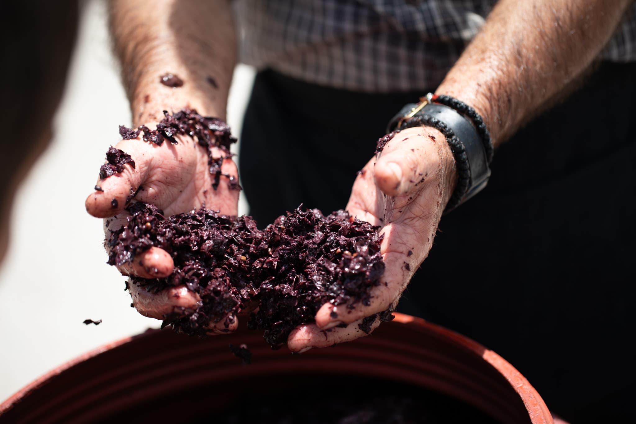open-doors-at-the-wineries-of-crete